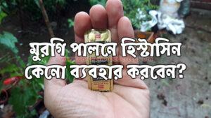 Histacin Tablet - হিস্টাসিন ট্যাবলেট
