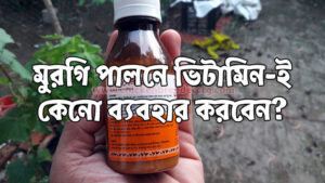 Rena Sel-E Vitamin - রেনা সেল ই ভিটামিন