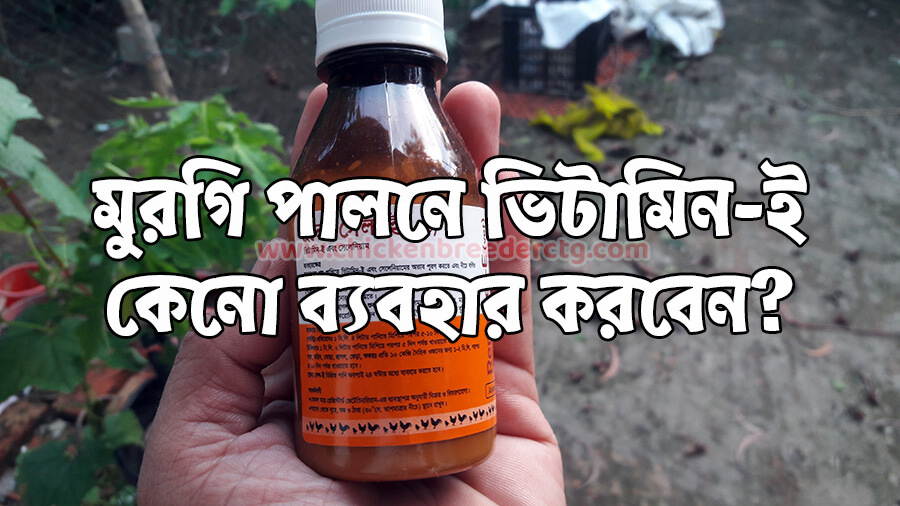 Rena Sel-E Vitamin - রেনা সেল ই ভিটামিন