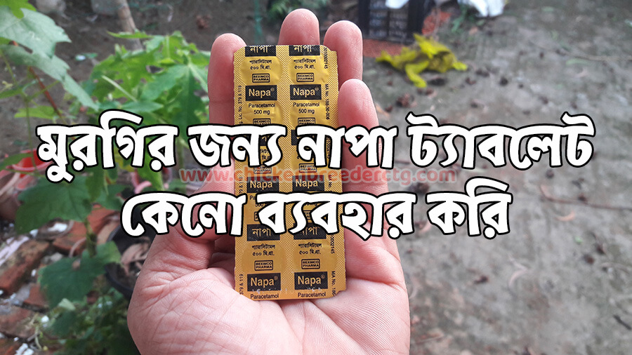 মুরগির জন্য নাপা ট্যাবলেট