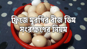 ফ্রিজে মুরগির ডিম সংরক্ষণের নিয়ম