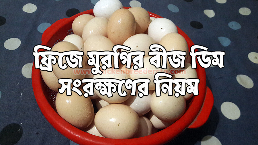 ফ্রিজে মুরগির ডিম সংরক্ষণের নিয়ম