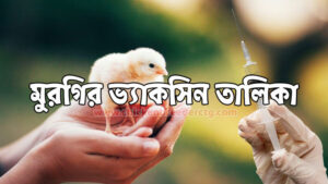 মুরগির ভ্যাকসিন তালিকা