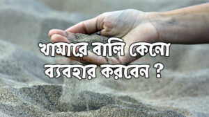 মুরগির খামারে বালি ব্যবহার