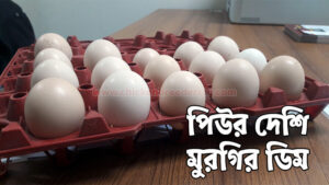 দেশি মুরগির ডিম