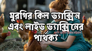 মুরগির কিল ভ্যাক্সিন এবং লাইভ ভ্যাক্সিনের পার্থক্য
